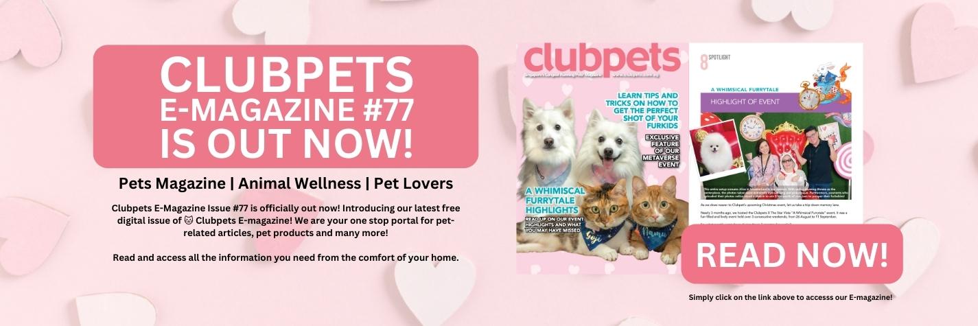 Clubpets Issue