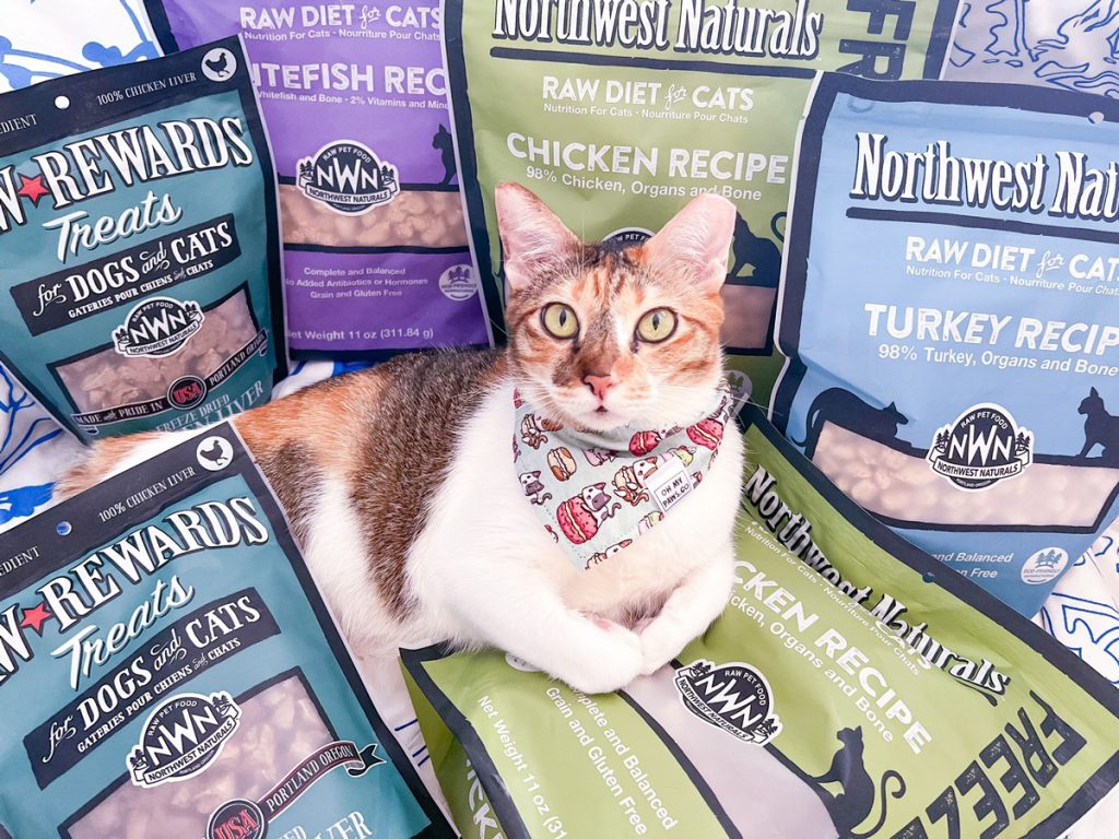 Gojiberry’s Love Affair with Northwest Natural Pet Food