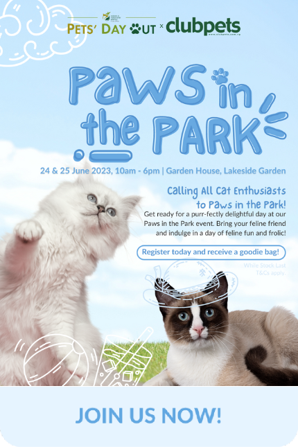 Card join us now-Paws in the park