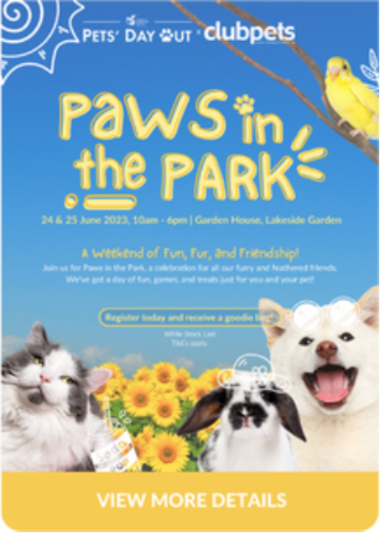 card 1-Paws in the park