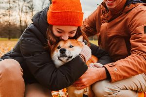 From Woofs to Words Decoding Your Dog’s Body Language