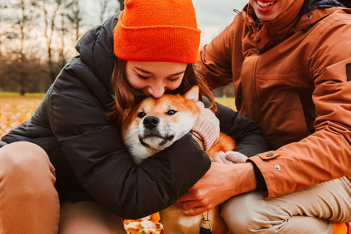 From Woofs to Words Decoding Your Dog’s Body Language