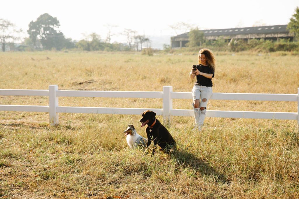 How to Safely Explore the Great Outdoors with Your Pet