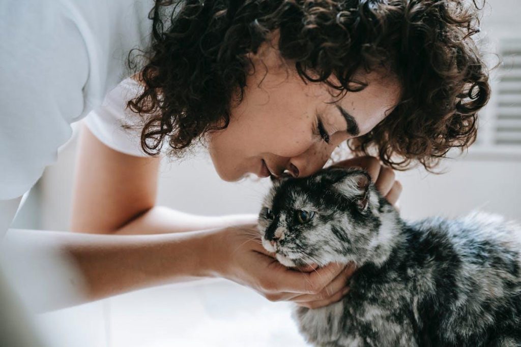 8 Tips for Providing the Best Care for Your Senior Pets