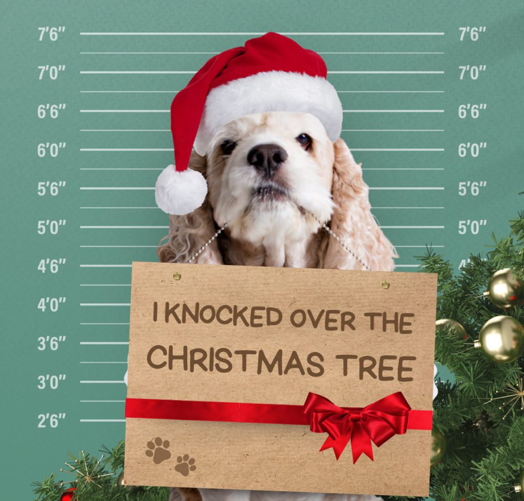 How to keep your dog out of your Christmas tree