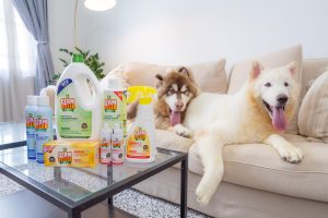 Clean with confidence using GK-GermKiller® pet-friendly disinfectants!
