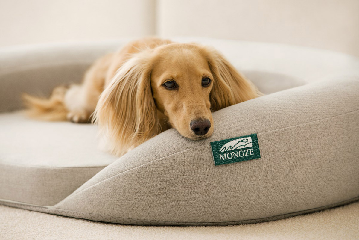 A Blend of Luxury and Functionality The MONGZE AIRNET™ Pet Bed