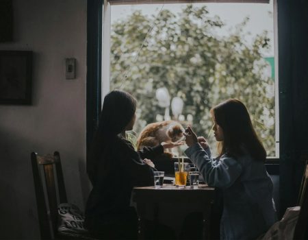 How To Keep Your Pet Calm In A Busy Café Environment