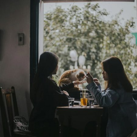 How To Keep Your Pet Calm In A Busy Café Environment