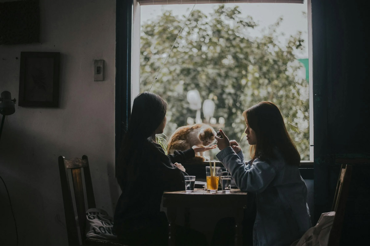 How To Keep Your Pet Calm In A Busy Café Environment